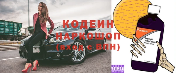 гашик Гусев