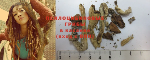 mix Сясьстрой