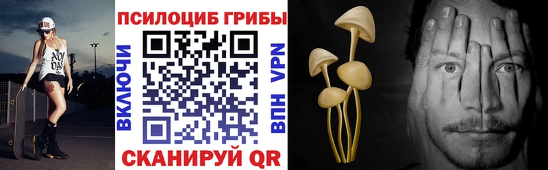 Псилоцибиновые грибы MAGIC MUSHROOMS  мега ССЫЛКА  Козловка 